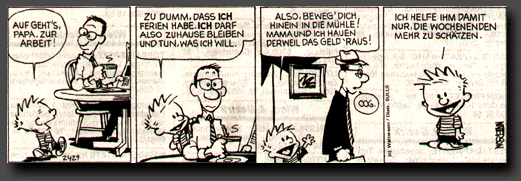 CALVIN & HOBBES